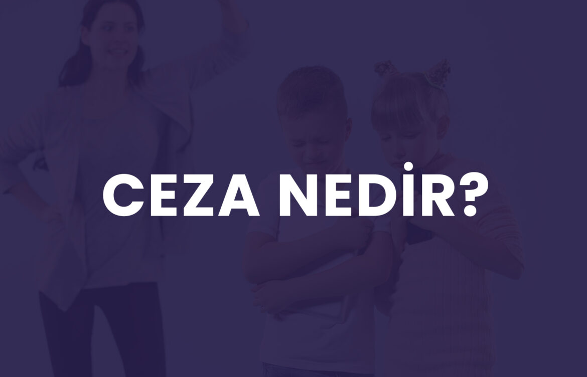 Ceza Nedir, İşe Yarar mı?